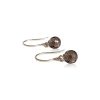 Silver Smoky Quartz Earrings