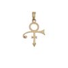 Gouden Hanger Prince Logo