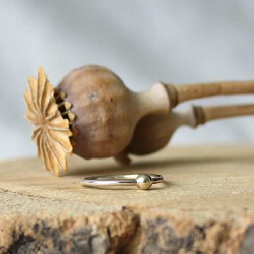 Tijdloze Duo Ring