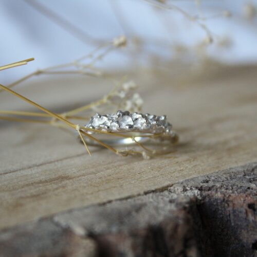 Zilveren Organische Ring